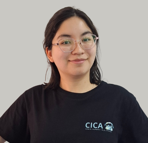 Fonoaudióloga santiago